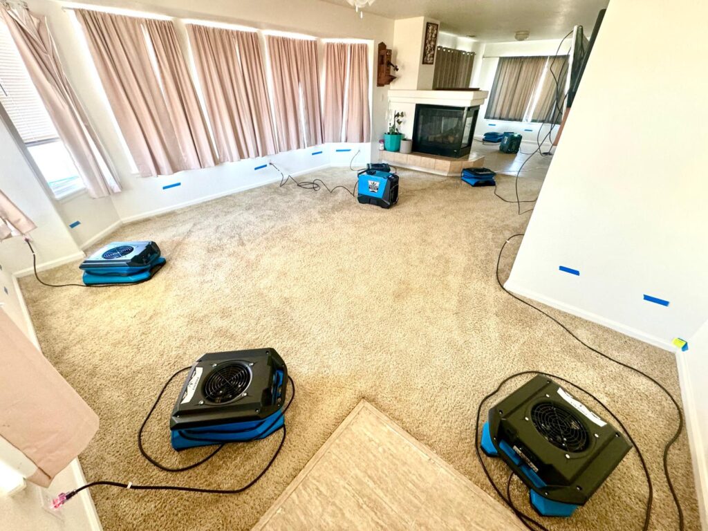 What is Water Damage Restoration? A Comprehensive Guide for Colorado Homeowners