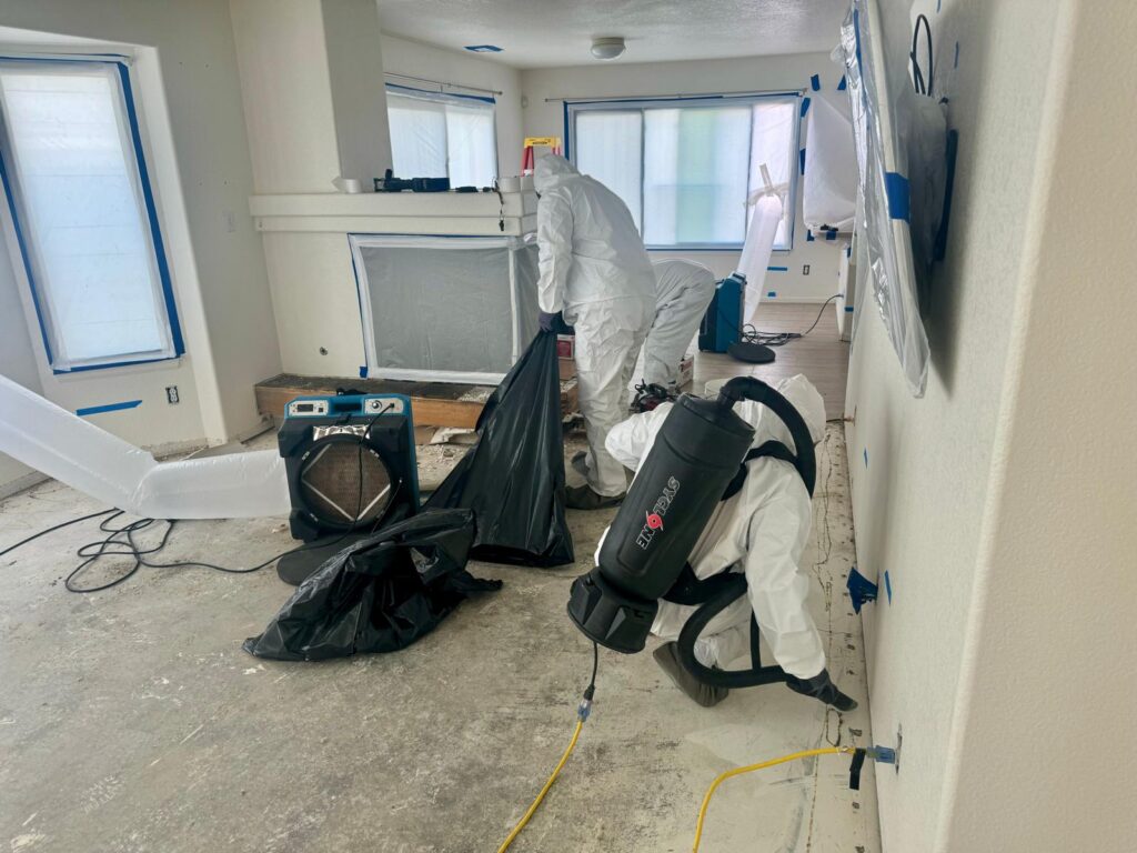 Best water damage restoration company in Denver drying wet carpet with specialized equipment