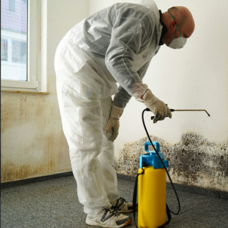 Mold-Remediation-Service-in-Denver-CO Mold-Remediation-Service-in-Denver-CO