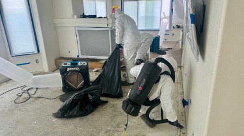 Best water damage restoration company in Denver drying wet carpet with specialized equipment
