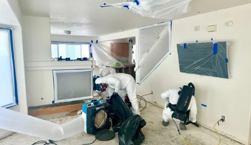 denver-emergency-water-damage-restoration-team-protective-gear