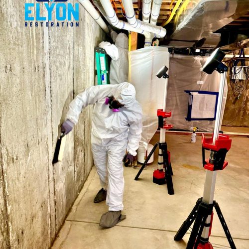 IICRC-certified mold remediation specialist scrubbing concrete basement walls in Denver CO