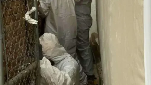 Asbestos removal specialists in protective suits working in Fort Collins Colorado confined space